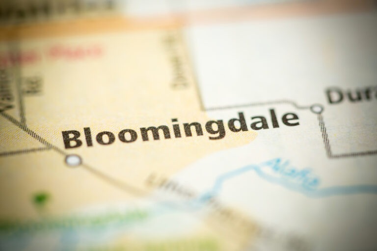 Bloomingdale fl